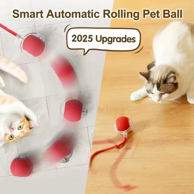 Engaging Electric Rolling Cat Balls - Ultimate Smart Toys for Endless Kitten Fun!