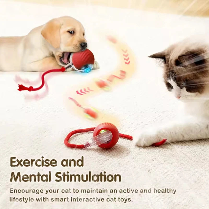 Engaging Electric Rolling Cat Balls - Ultimate Smart Toys for Endless Kitten Fun!
